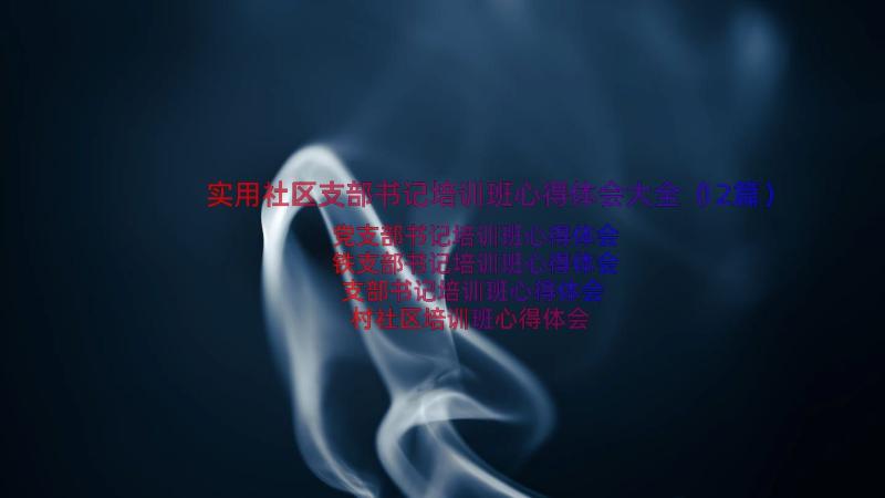 实用社区支部书记培训班心得体会大全（12篇）