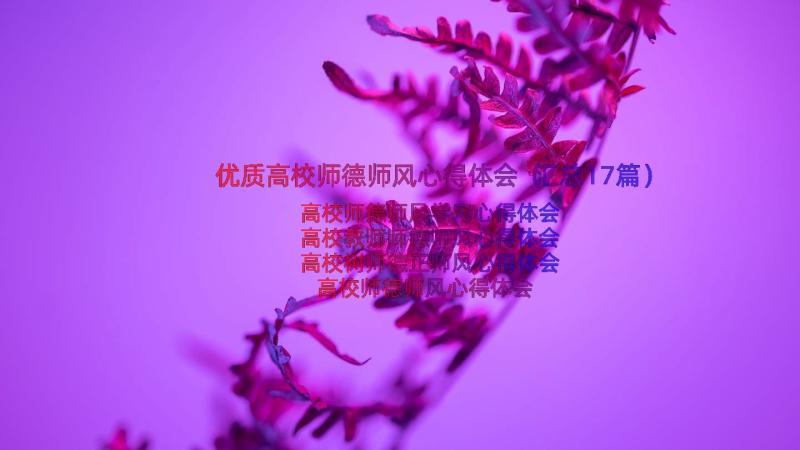 优质高校师德师风心得体会（汇总17篇）