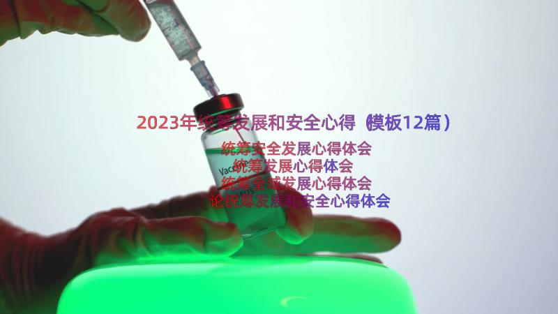 2023年统筹发展和安全心得（模板12篇）