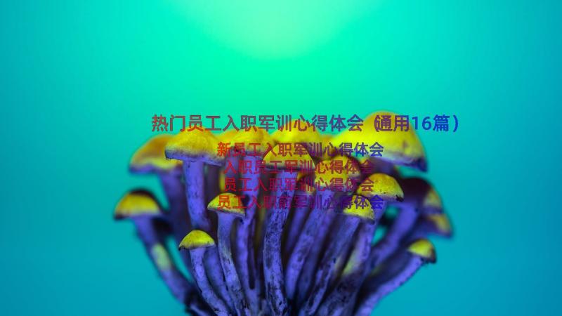 热门员工入职军训心得体会（通用16篇）