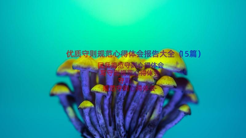 优质守则规范心得体会报告大全（15篇）