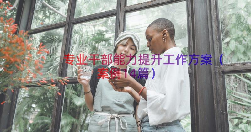 专业干部能力提升工作方案（案例14篇）