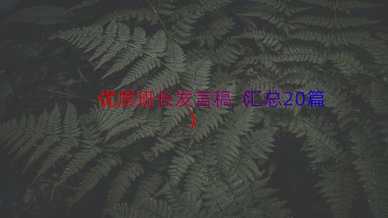 优质班长发言稿（汇总20篇）