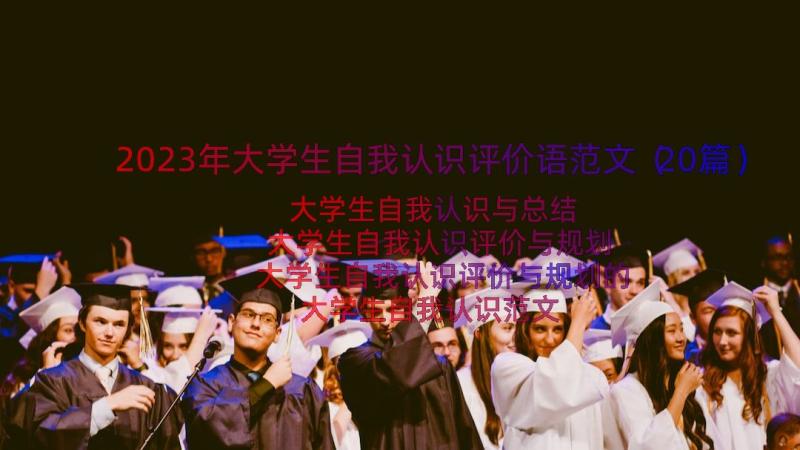 2023年大学生自我认识评价语范文（20篇）