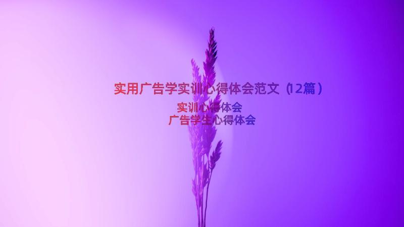 实用广告学实训心得体会范文（12篇）