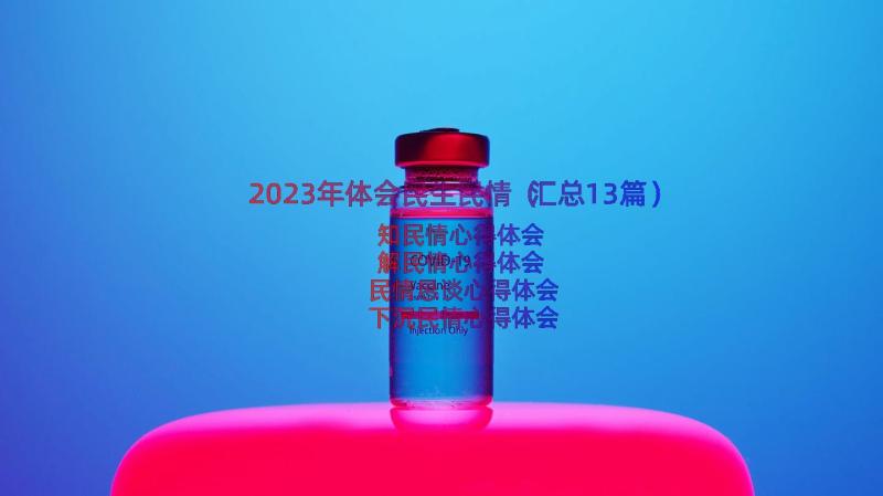 2023年体会民生民情（汇总13篇）