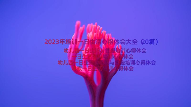 2023年培训一日生活心得体会大全（20篇）