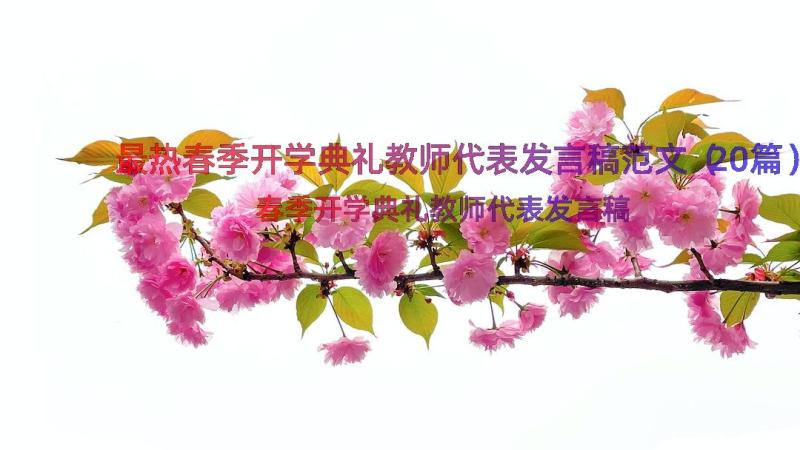 最热春季开学典礼教师代表发言稿范文（20篇）