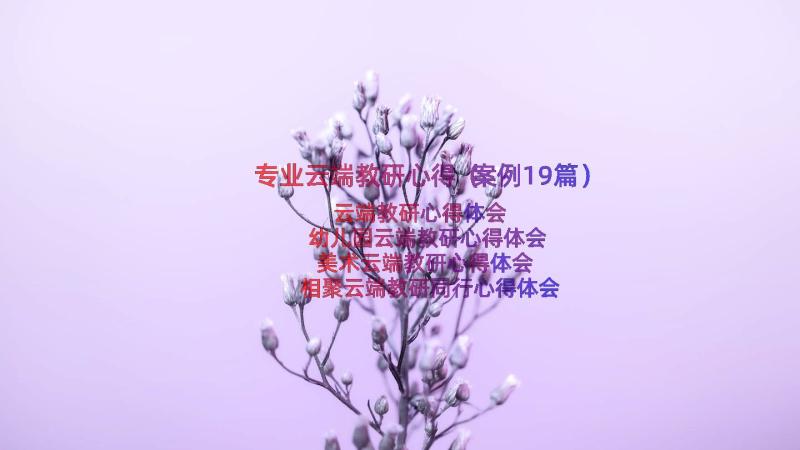 专业云端教研心得（案例19篇）