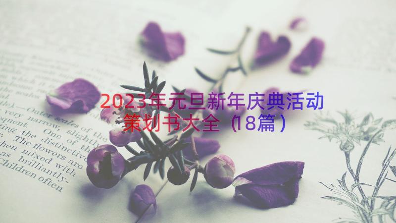 2023年元旦新年庆典活动策划书大全（18篇）