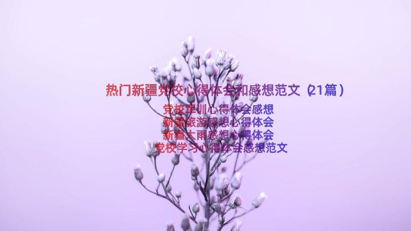 热门新疆党校心得体会和感想范文（21篇）