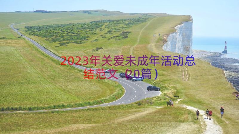 2023年关爱未成年活动总结范文（20篇）