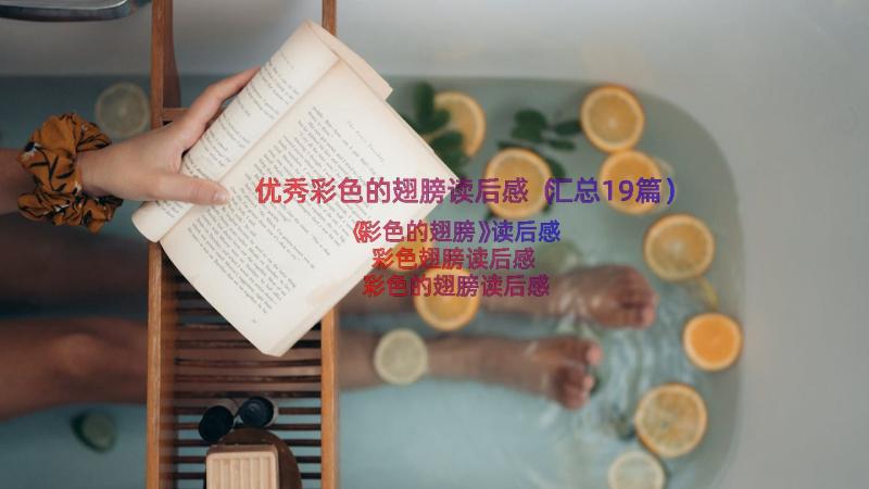 优秀彩色的翅膀读后感（汇总19篇）