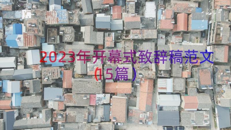 2023年开幕式致辞稿范文（15篇）