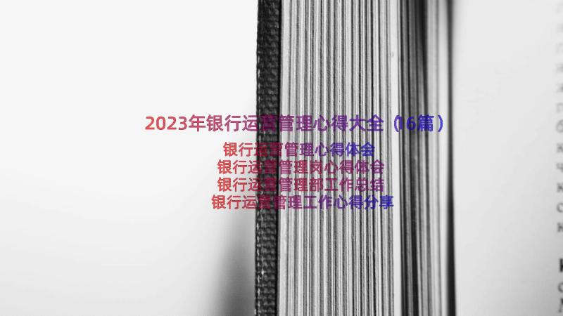 2023年银行运营管理心得大全（16篇）