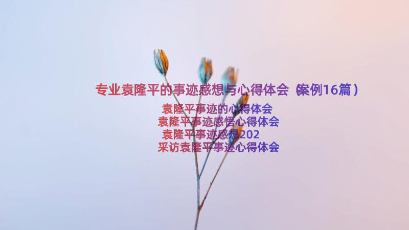 专业袁隆平的事迹感想与心得体会（案例16篇）