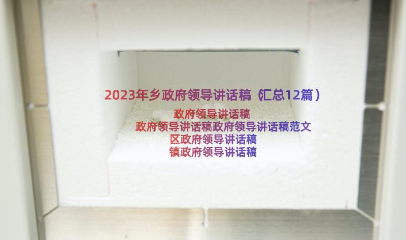 2023年乡政府领导讲话稿（汇总12篇）