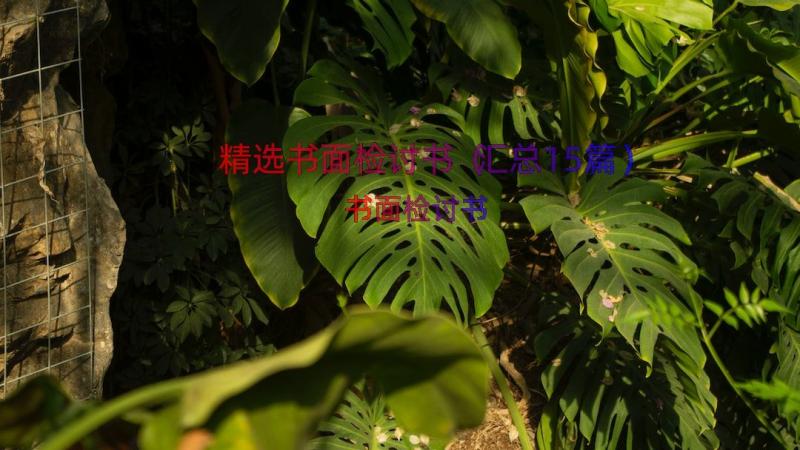 精选书面检讨书（汇总15篇）