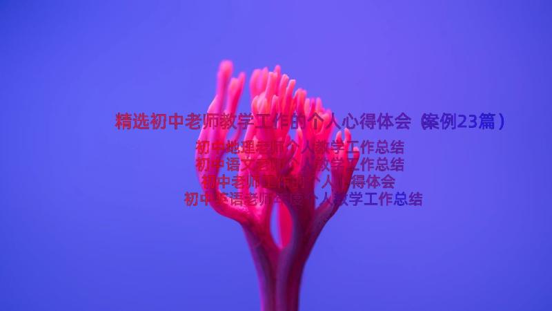 精选初中老师教学工作的个人心得体会（案例23篇）