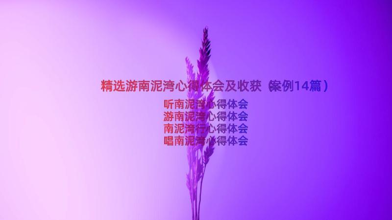 精选游南泥湾心得体会及收获（案例14篇）