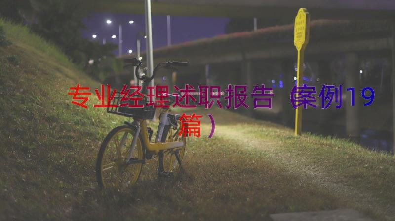 专业经理述职报告（案例19篇）