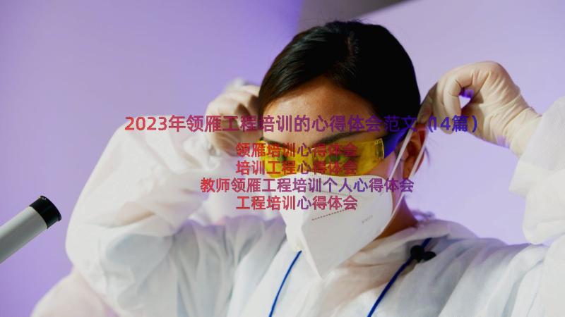 2023年领雁工程培训的心得体会范文（14篇）