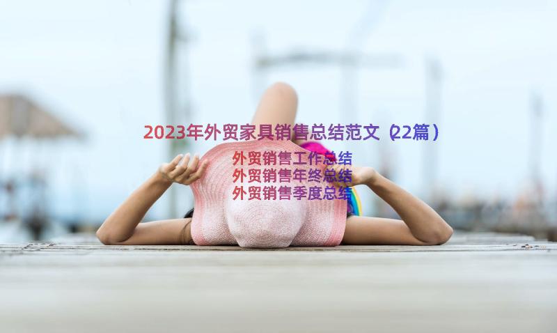 2023年外贸家具销售总结范文（22篇）