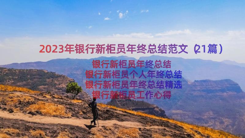 2023年银行新柜员年终总结范文（21篇）