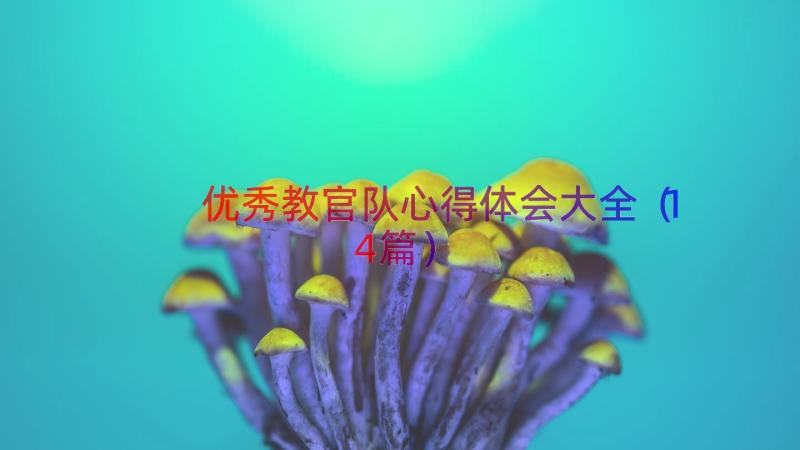 优秀教官队心得体会大全（14篇）