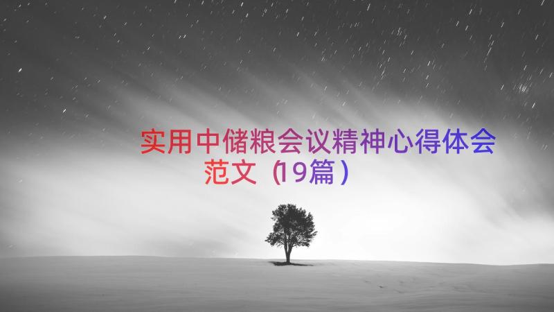 实用中储粮会议精神心得体会范文（19篇）