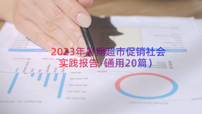 2023年暑期超市促销社会实践报告（通用20篇）