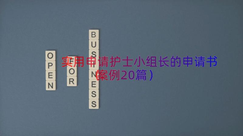 实用申请护士小组长的申请书（案例20篇）