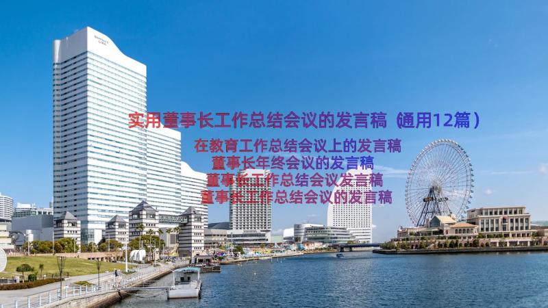 实用董事长工作总结会议的发言稿（通用12篇）