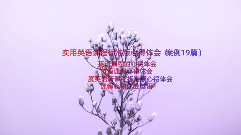 实用英语课程标准版心得体会（案例19篇）