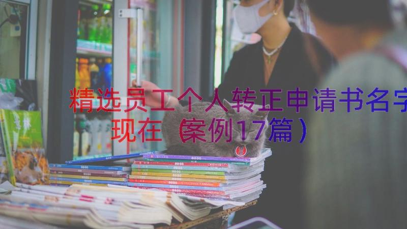 精选员工个人转正申请书名字现在（案例17篇）