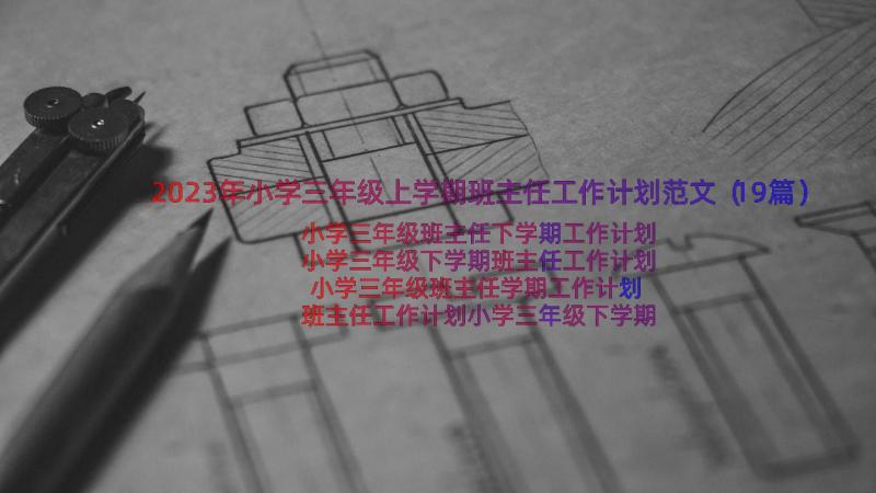 2023年小学三年级上学期班主任工作计划范文（19篇）