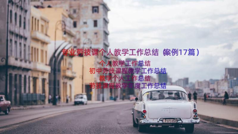 专业劳技课个人教学工作总结（案例17篇）