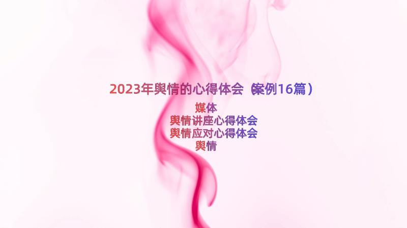 2023年舆情的心得体会（案例16篇）