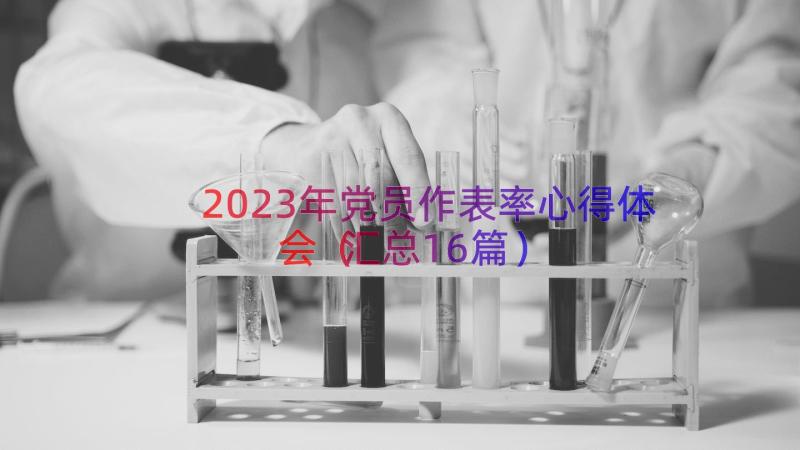 2023年党员作表率心得体会（汇总16篇）