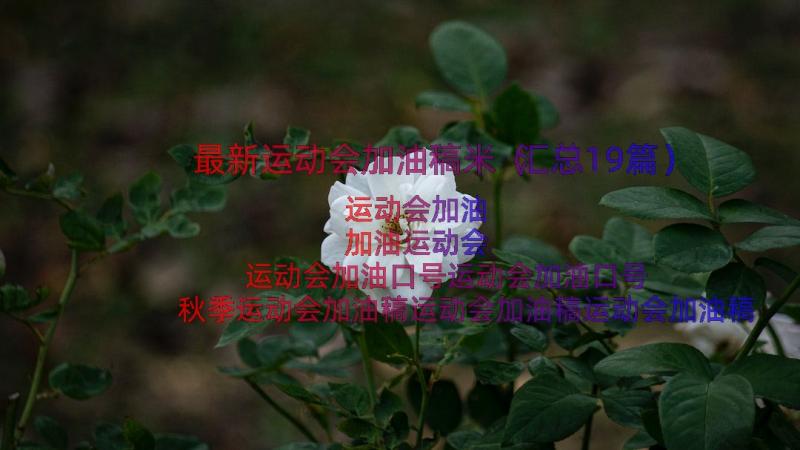 最新运动会加油稿米（汇总19篇）