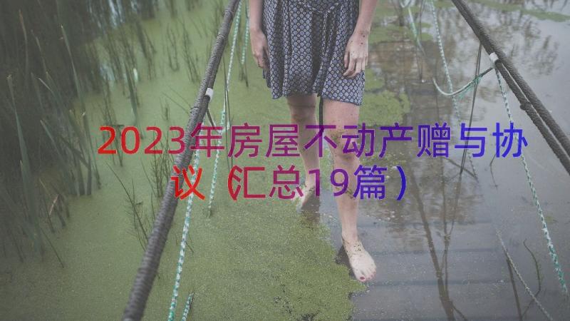 2023年房屋不动产赠与协议（汇总19篇）