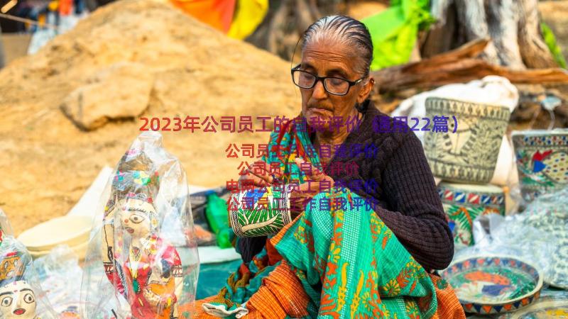 2023年公司员工的自我评价（通用22篇）