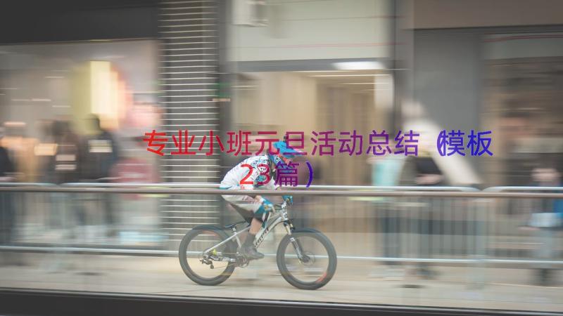 专业小班元旦活动总结（模板23篇）