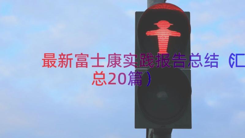 最新富士康实践报告总结（汇总20篇）