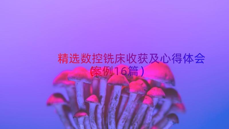 精选数控铣床收获及心得体会（案例16篇）