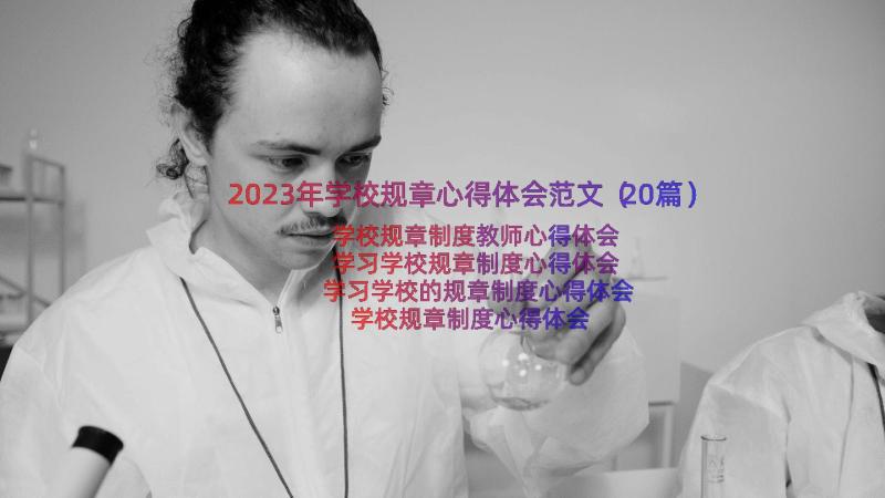 2023年学校规章心得体会范文（20篇）