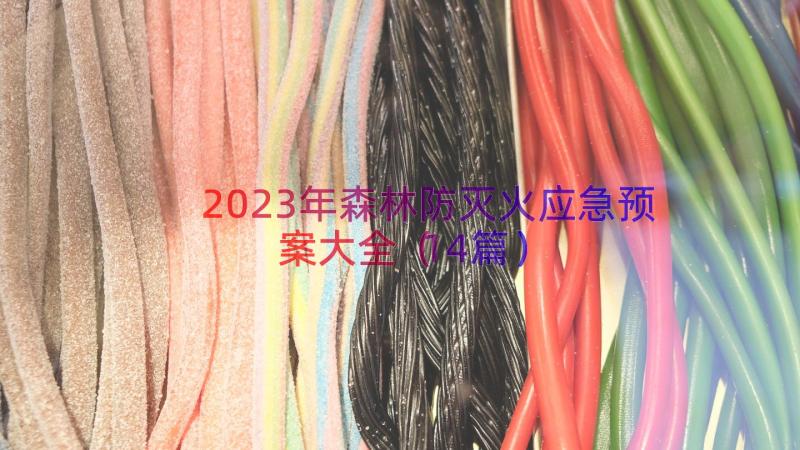 2023年森林防灭火应急预案大全（14篇）