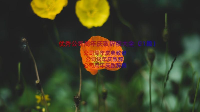 优秀公司周年庆致辞稿大全（21篇）