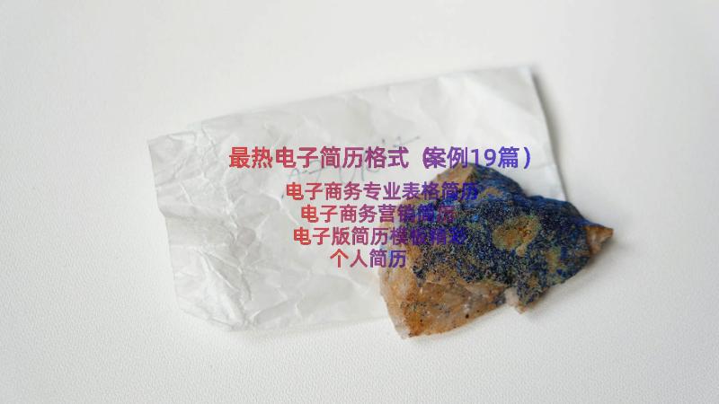 最热电子简历格式（案例19篇）