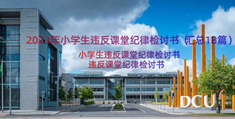 2023年小学生违反课堂纪律检讨书（汇总18篇）